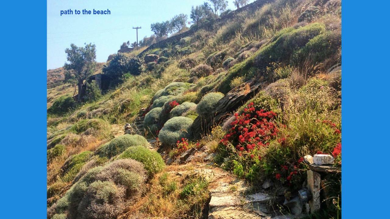 Amelia Beachfront Villa Korissia  Dış mekan fotoğraf